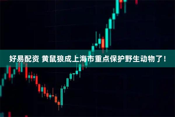 好易配资 黄鼠狼成上海市重点保护野生动物了！