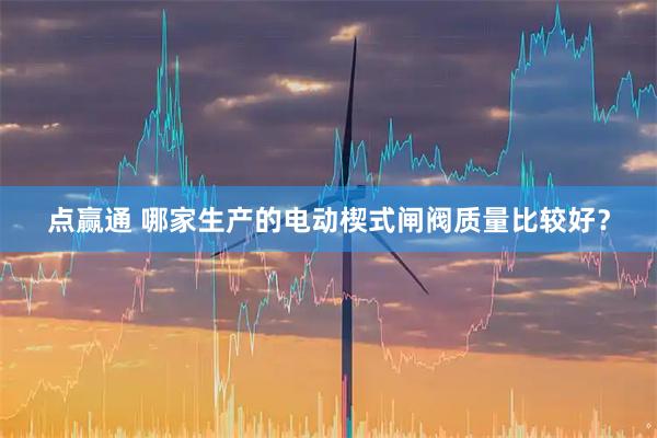 点赢通 哪家生产的电动楔式闸阀质量比较好？