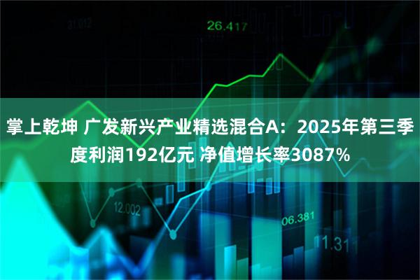 掌上乾坤 广发新兴产业精选混合A：2025年第三季度利润192亿元 净值增长率3087%