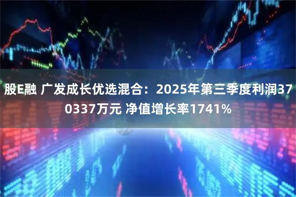 股E融 广发成长优选混合：2025年第三季度利润370337万元 净值增长率1741%
