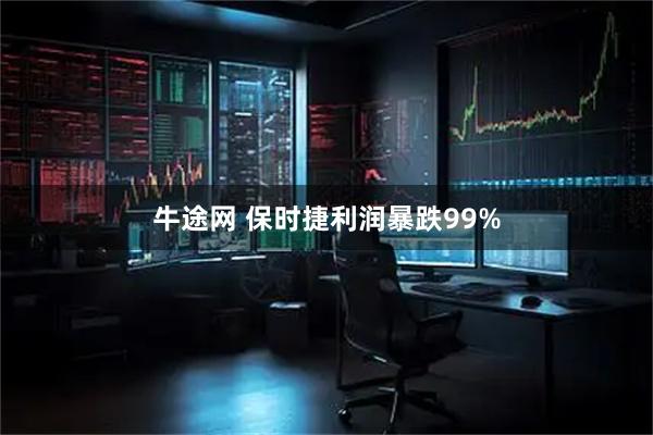 牛途网 保时捷利润暴跌99%