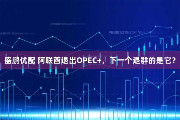 盛鹏优配 阿联酋退出OPEC+，下一个退群的是它？